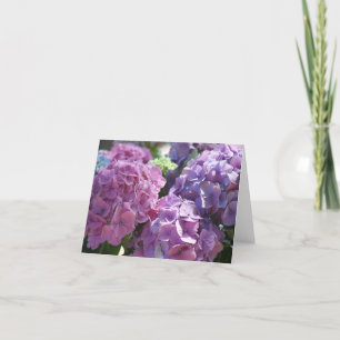 carte de crédit hydrangeas
