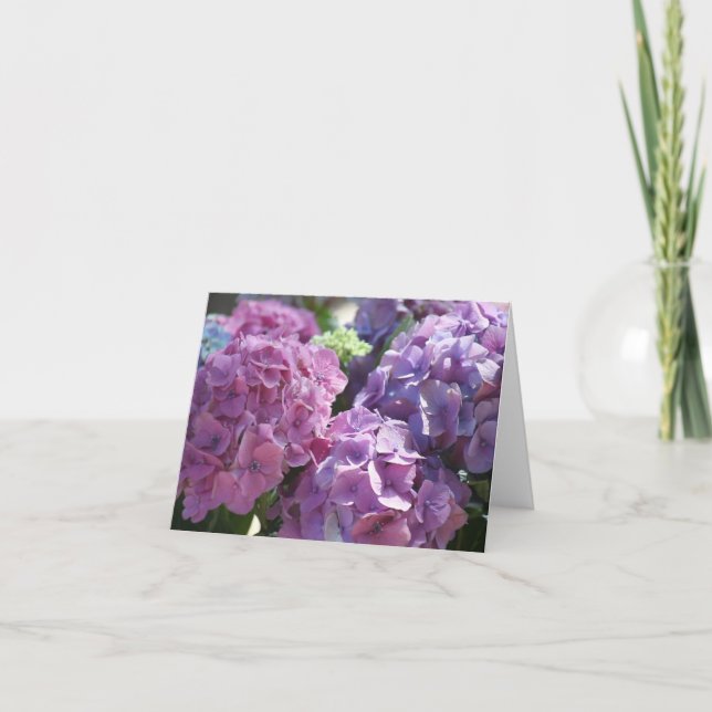 carte de crédit hydrangeas (Devant)