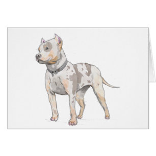 Carte de croquis d'aquarelle de chien de pitbull
