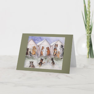 Carte de cru de chat