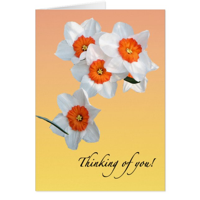 Carte de Daffodil Flowers Floral de professeur (Devant)