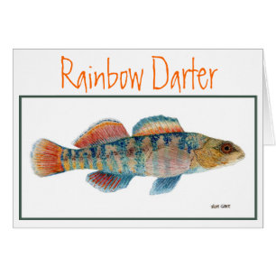 Carte de Darter d'arc-en-ciel