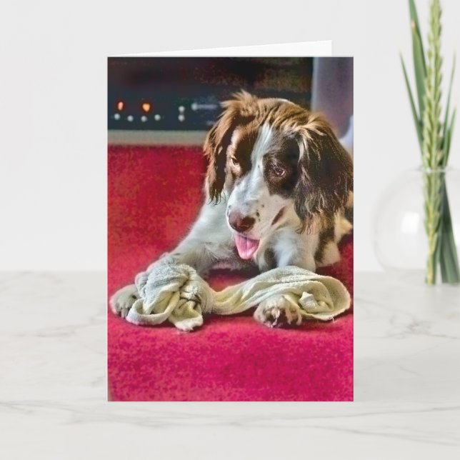 Carte de délai de lecture (Devant)