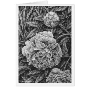 Carte de dessin à l'encre de trois pivoines