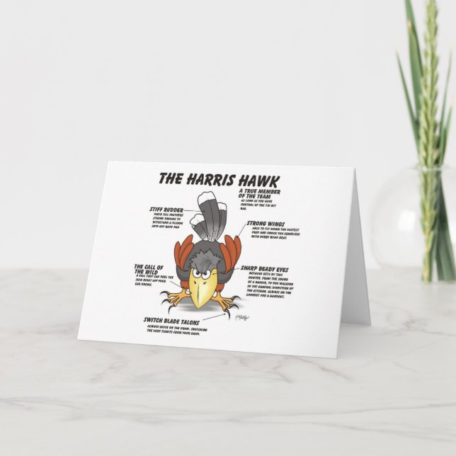 Carte de dessin animé Harris Hawk (Devant)
