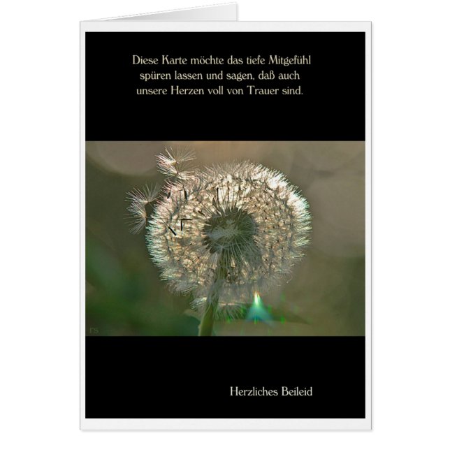 Carte de deuil Lume de Pusteblume Condoléances (Devant)