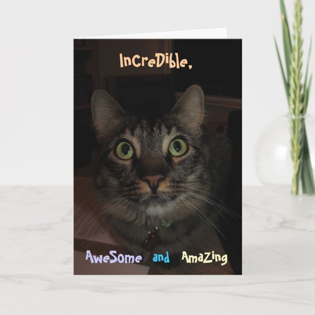 Carte de diplôme Extraordinaire (Devant)