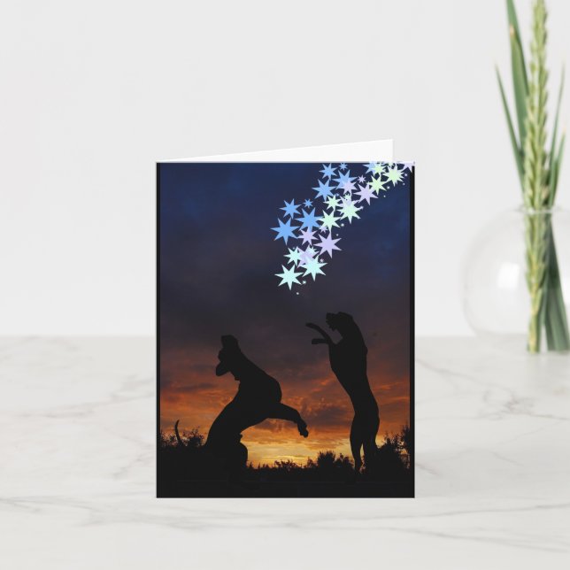 Carte de dogues colorés (Devant)