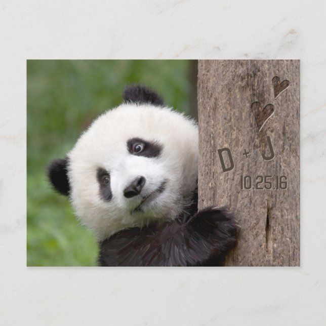 Carte de faire-part de mariage avec un ours panda (Devant)