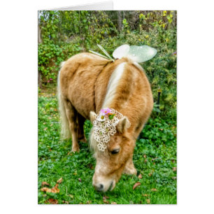 carte de fée de cheval miniature