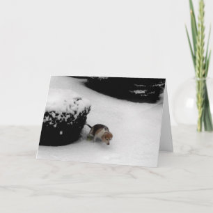 CARTE DE FÉLICITATIONS