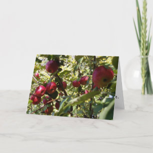 Carte de félicitations "Apple Tree"