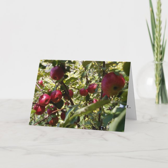 Carte de félicitations "Apple Tree" (Devant)