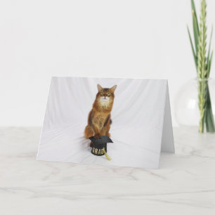 Carte de félicitations avec un chat somalien porta