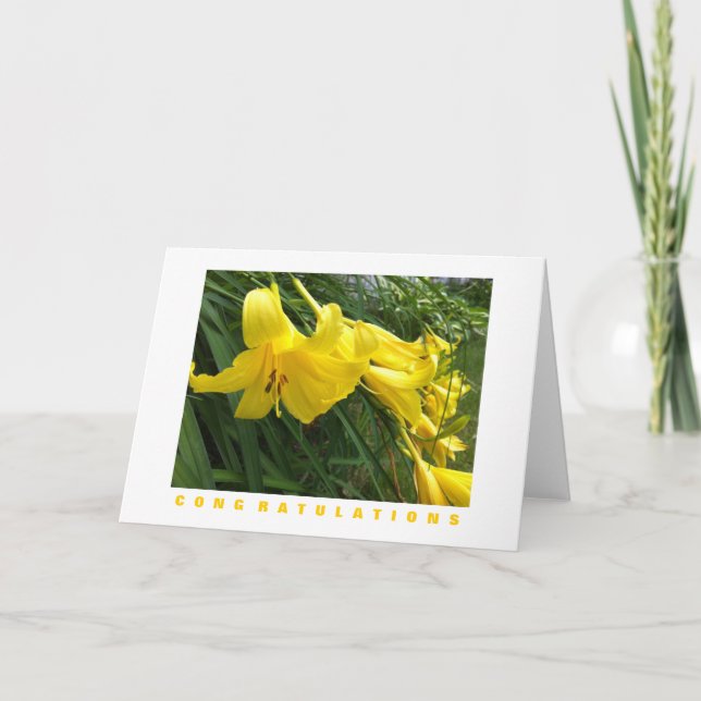 Carte de félicitations : Daylilies, Jaune (Devant)