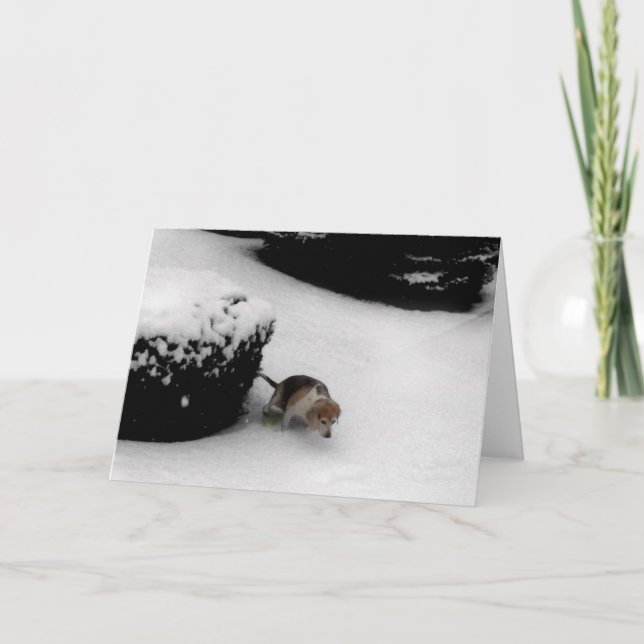 CARTE DE FÉLICITATIONS DE DIPLÔME (Devant)