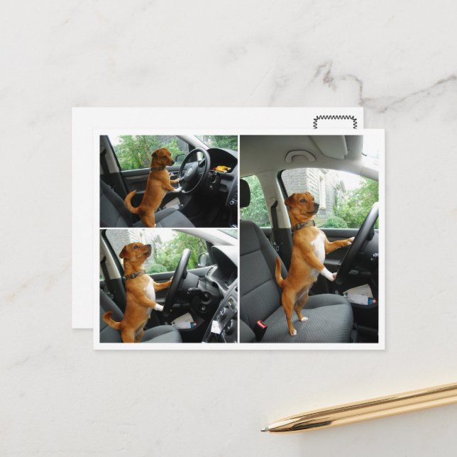 Carte de félicitations pour le permis de conduire  (Devant/Arrière en situation)