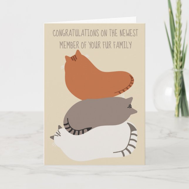 Carte de félicitations pour nouveau chat pour prop (Devant)