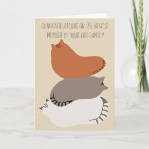 Carte de félicitations pour nouveau chat pour prop