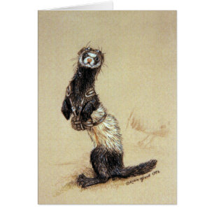 Carte de Ferretrooper