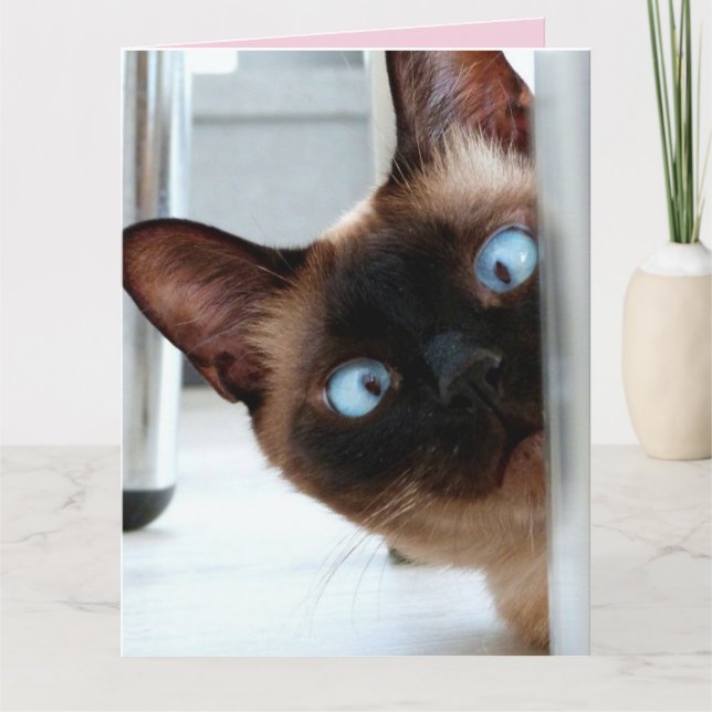 CARTE DE FETE DE MAMAN CHAT MIGNON QUI REGARDE (Devant)