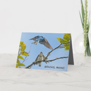 Carte de fête des mères avec hirondelles d'arbre (