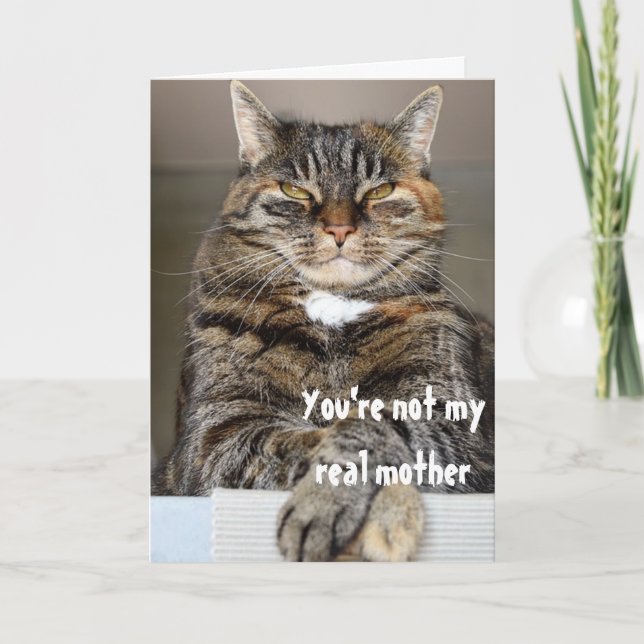 Carte de fête des mères Chat Angry Judgmental (Devant)