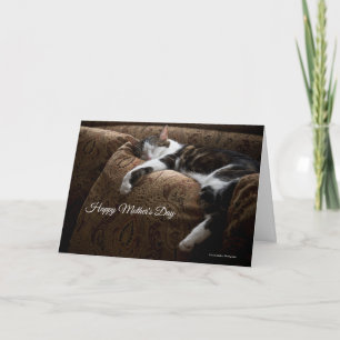 Carte de fête des mères de chats confortables