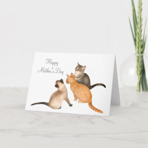 Carte de fête des mères de Three Kittens