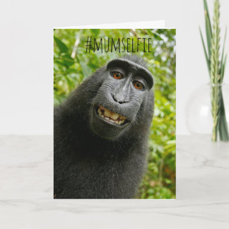 Carte de fête des mères drôle de singe selfie