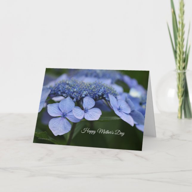 Carte de fête des mères Hydrangea (Devant)