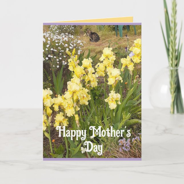 Carte de Fête des Mères Iris Jaune et Chat Tigré F (Devant)