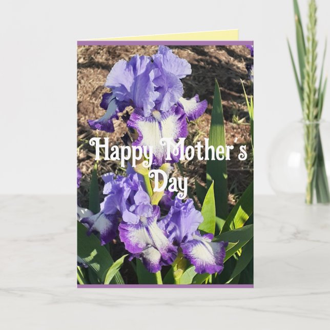 Carte de Fête des Mères Iris Pourpre fleur florale (Devant)