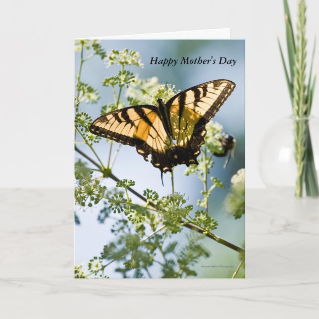 Carte de fête des mères Tiger Swallowtail (Devant)