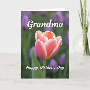 Carte de Fête des Mères Tulipe en Fleur Douce