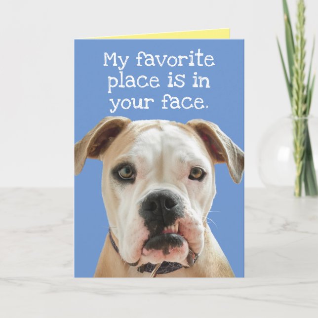 Carte de Fête des pères américaine Bulldog No Bull (Devant)