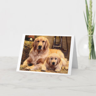 Carte de Fête des pères Golden Retriever