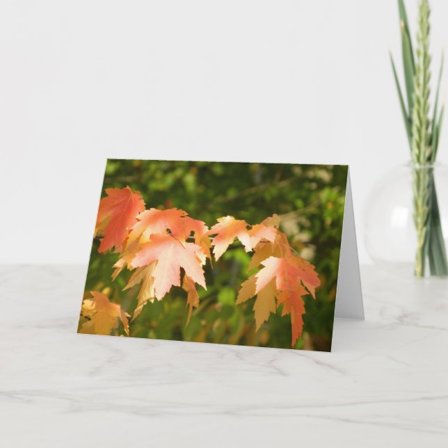 Carte de feuilles d'automne lumineuses (Devant)