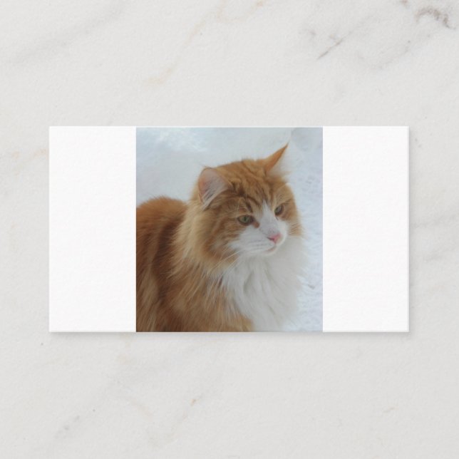 Carte De Fidélité Chat_des_forêts_norvégiennes (Devant)
