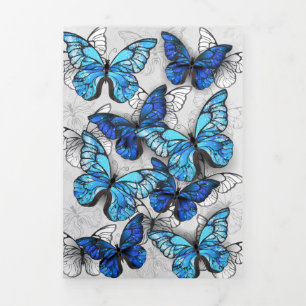 Carte De Fin D'année Trois Volets Composition des White and Blue Butterflies