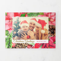 Poinsettias roses colorées et photo de pin