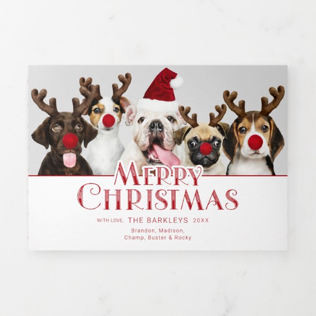 Carte De Fin D'année Trois Volets Typographie joyeux Noël | Photo | Points (Page de couverture)