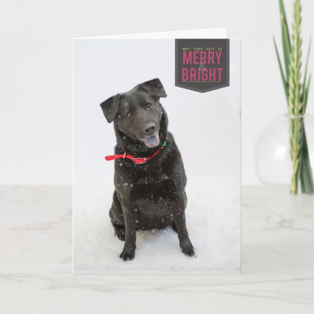 Carte de fin de année (Devant)