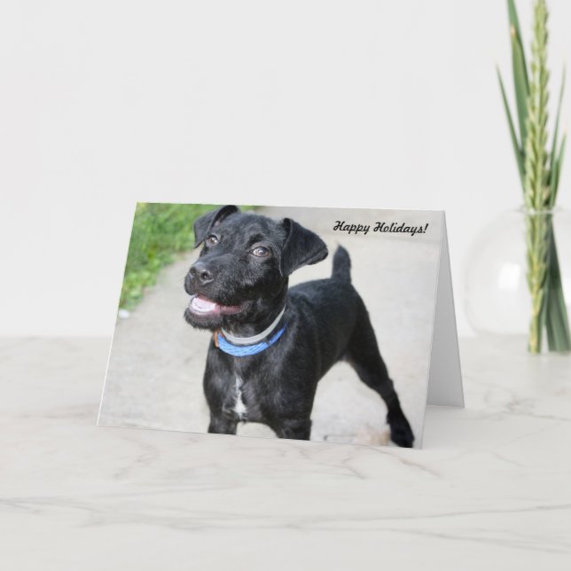 Carte de fin de année "acclamation de vacances " (Devant)