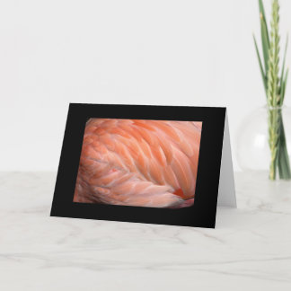 Carte De Flamant rose salutation étroite