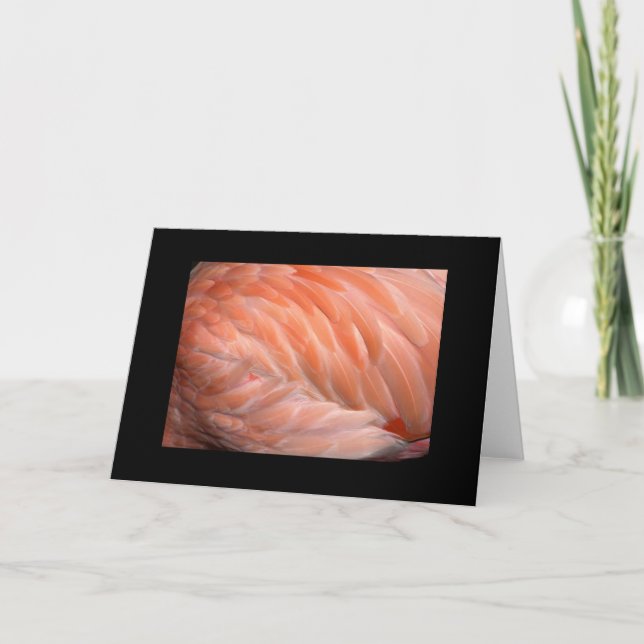 Carte De Flamant rose salutation étroite (Devant)