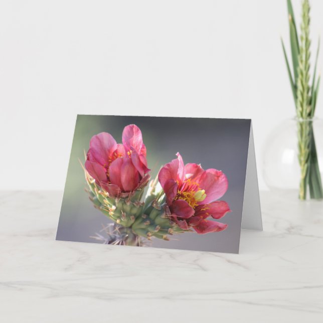 Carte de Fleur de Cholla du Désert (Devant)