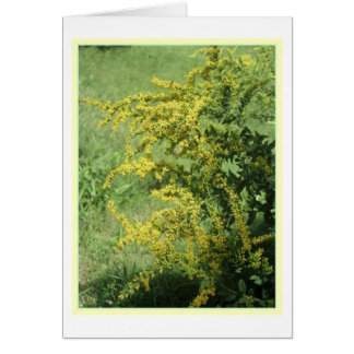 Carte de fleur sauvage