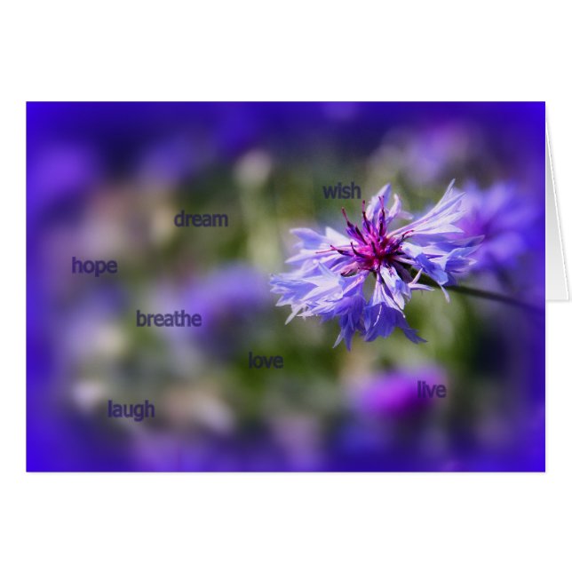Carte de fleurs bleues (Devant horizontal)