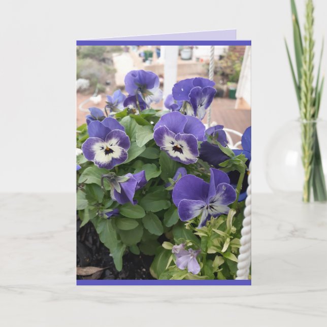 Carte de fleurs bleues Floral Pensée Viola Photo A (Devant)